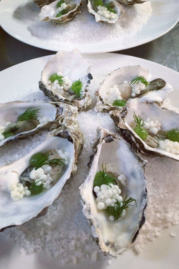 Impression vom Rheingau Gourmet & Wein Festival