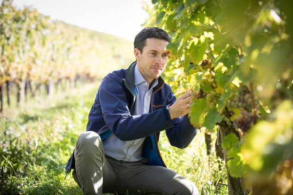 © Weingut Bründlmayer/Anna Stöcher.